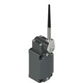 Pizzato FD 534-M2 Position switch, coiled spring lever with plastic point