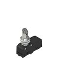 Pizzato MK V11D17 Microswitch with transversal roller plunger