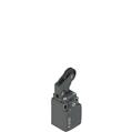 Pizzato FK 3307-XM1 Position switch with adjustable one-way roller