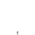Pizzato VF VAM4X10BX-X Stainless steel security screws