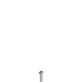 Pizzato VF VAM4X15BX-X Stainless steel security screws