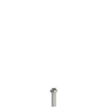 Pizzato VF VAM5X20BX-X Stainless steel security screws