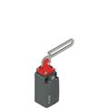 Pizzato FM 5C1-M2 Safety switch with slotted hole lever