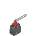 Pizzato FX 5C4-M2 Safety switch with slotted hole lever