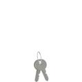 Pizzato VF KLA371 Unlocking key pair