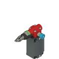 Pizzato FD 2083-M2 Rope safety switch with reset for emergency stop