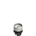 Pizzato E2 1PL2P229L2 Illuminated white booted pushbutton with marking