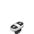 Pizzato E2 1PDRL9AAAB Double lower flush pushbutton, with marking