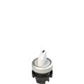 Pizzato E2 1SE12AVA29AB Short handle selector, 2 positions white with marking