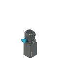 Pizzato FR 2038-W3M2 Position switch for rotating levers with reset device