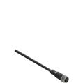 Pizzato VF CA4PD10M M12 female wired connector: straight, 4 poles, 10 m cable