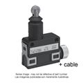 Azbil SL1-BKFXG3 Compact Horizontal Limit Switch
