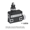 Azbil SL1-DFXG3 Compact Horizontal Limit Switch