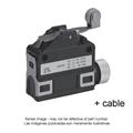 Azbil SL1-PBG3 Compact Horizontal Limit Switch